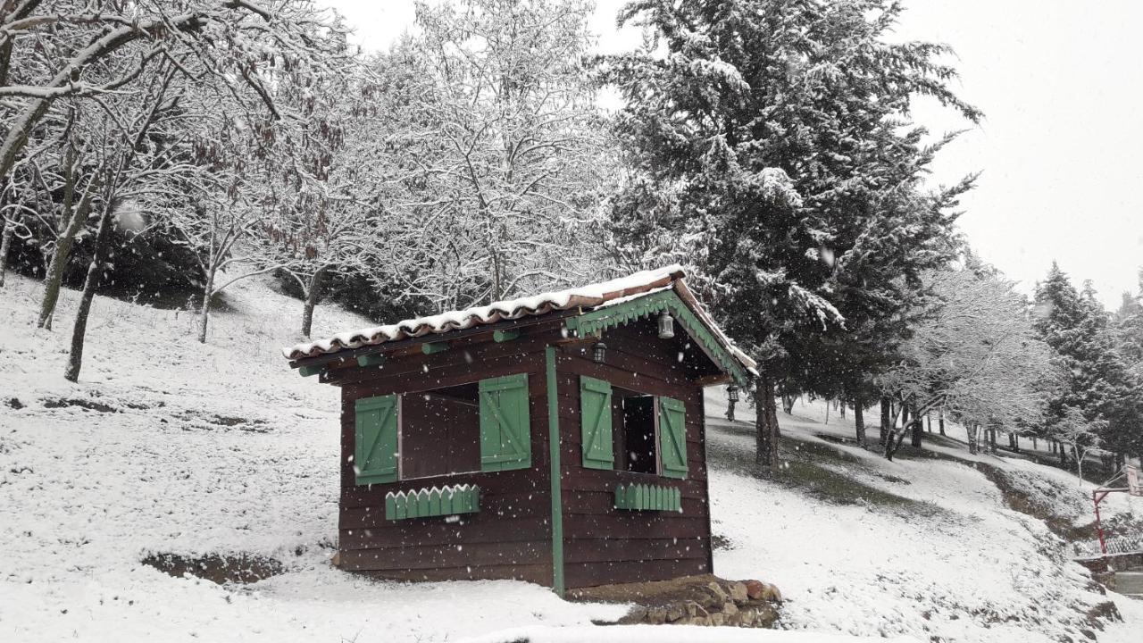 טריקלה Traditional Guesthouse מראה חיצוני תמונה